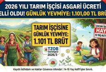 tarim isci yevmiyesi 2026 cocuk isci yasaklari 1 1 1